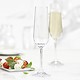 Set of 4 Splendido Champagne Flutes