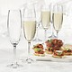 Trudeau Bohemia Set of 6 Serene Champagne Flutes