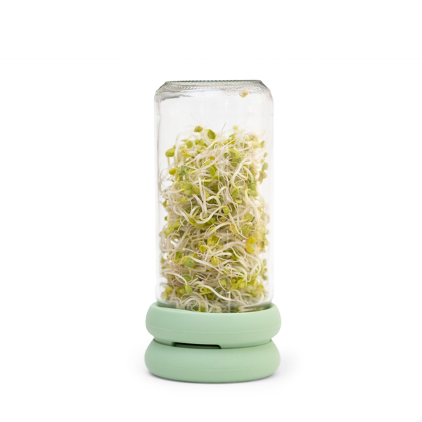 Ensemble de germination de Food Huggers