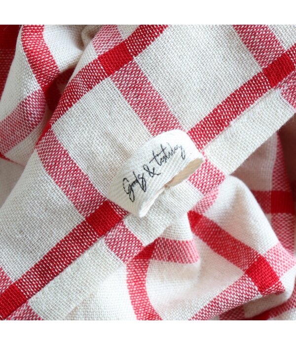 Harman Harman Checkered Kitchen towel, Red/Beige, set of 2