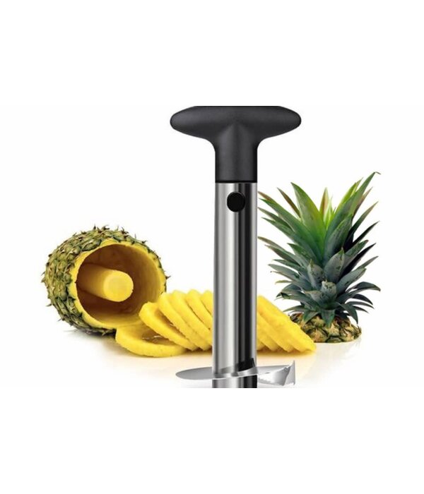 Pineapple core extractor