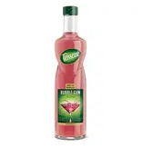 Teisseire Bubble Gum Syrup 700ml by Teisseire