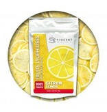 Vincent Sélection Fruits Lyophilisés 20g, Citron de Vincent Sélection