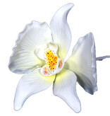 Vincent Sélection Vincent Selection White Orchid Flower Gum Paste