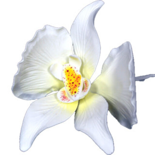 Vincent Sélection Pâte à gomme fleur Orchidée Blanche de Vincent Sélection