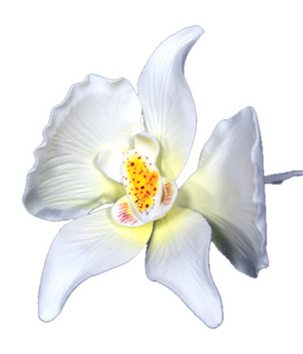 Vincent Sélection Vincent Selection White Orchid Flower Gum Paste