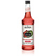 Sirop Margarita au Melon d'Eau Épicé 750ml de Monin