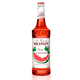 Sirop Melon D'eau Classique 750ml de Monin