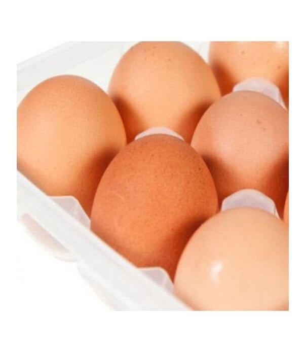 Starfrit Starfrit LocknLock Egg Container, 18 Eggs
