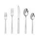 Splendide "Storm" 20-piece Flatware Set