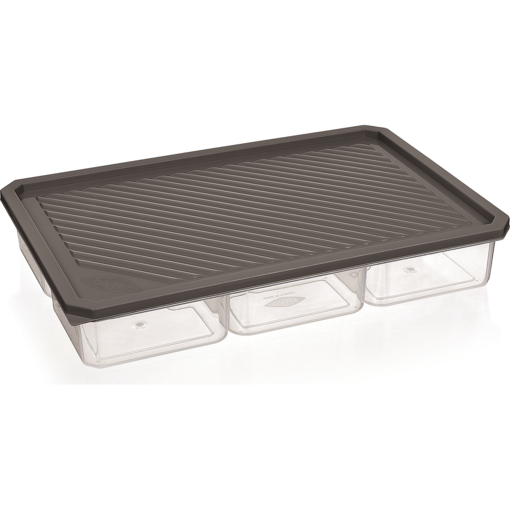 Artika Rectangular Compartmentalized Container 13x8.5