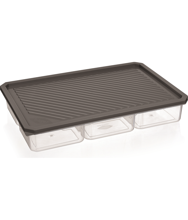 Artika Rectangular Compartmentalized Container 13x8.5
