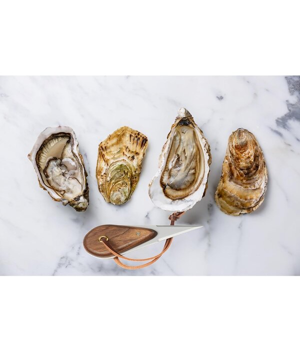 Outset Outset "Au Bord De La Mer" Oyster Shucking Set