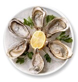 Outset Outset Oyster Tray, 6 Slots and Condiment Cup