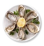Outset Outset Oyster Tray, 6 Slots and Condiment Cup