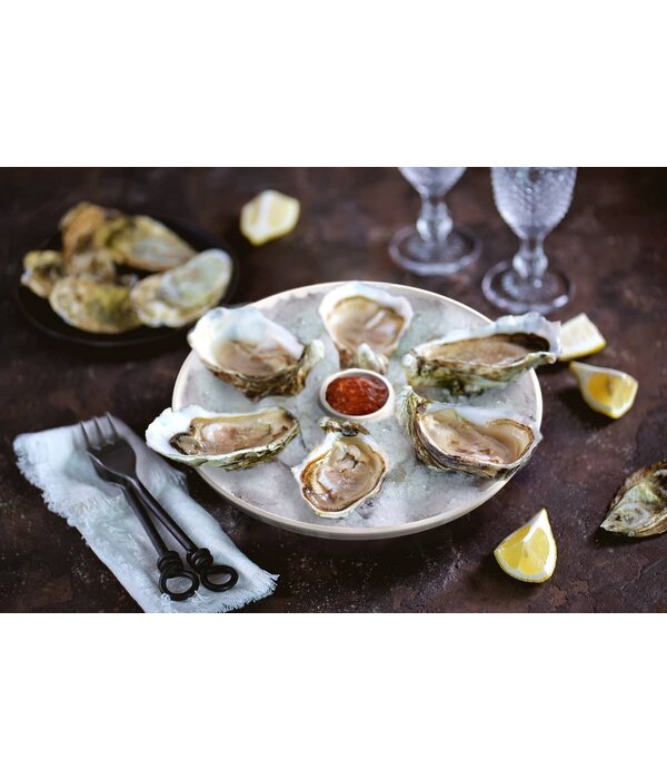 Outset Outset Oyster Tray, 6 Slots and Condiment Cup