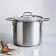 Strauss Pro 12L Stockpot