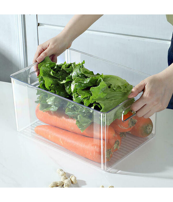 Luciano Gourmet Refrigerator Storage Bin 10" x 5.9"