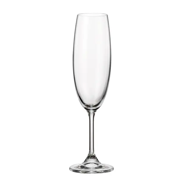 Flûtes à champagne "Leona" 210ml, ens/4 de Maison Forine