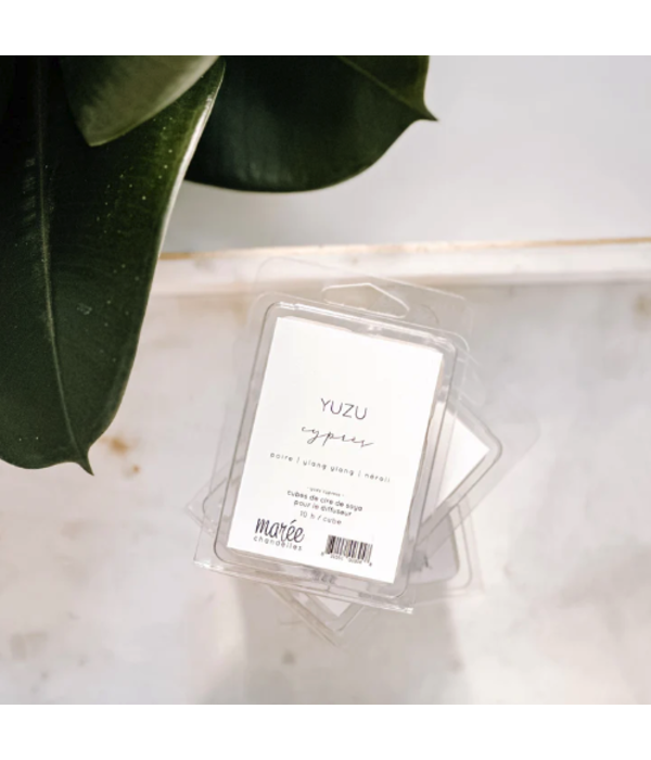 Maree Chandelles Marée Chandelles Yuzu Cypress Soya Wax Tablets