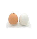 Egg Salt and Pepper Shaker Set