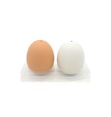 Egg Salt and Pepper Shaker Set