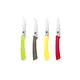 RICARDO Stainless Steel Paring Knives, Set of 4