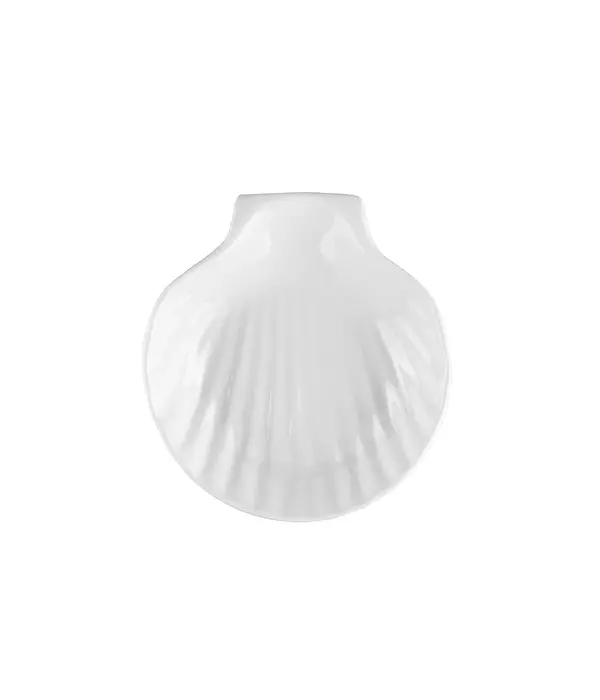 White Scallop Plate