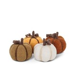 Petite Citrouille 4", Assorti