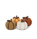 Petite Citrouille 4", Assorti