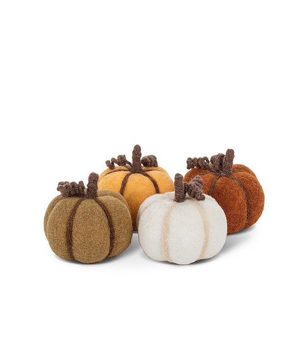 Petite Citrouille 4", Assorti