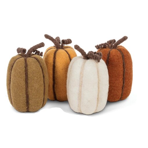 Moyenne Citrouille 8", Assorti
