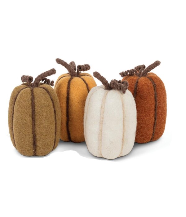 Moyenne Citrouille 8", Assorti