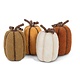 Moyenne Citrouille 8", Assorti