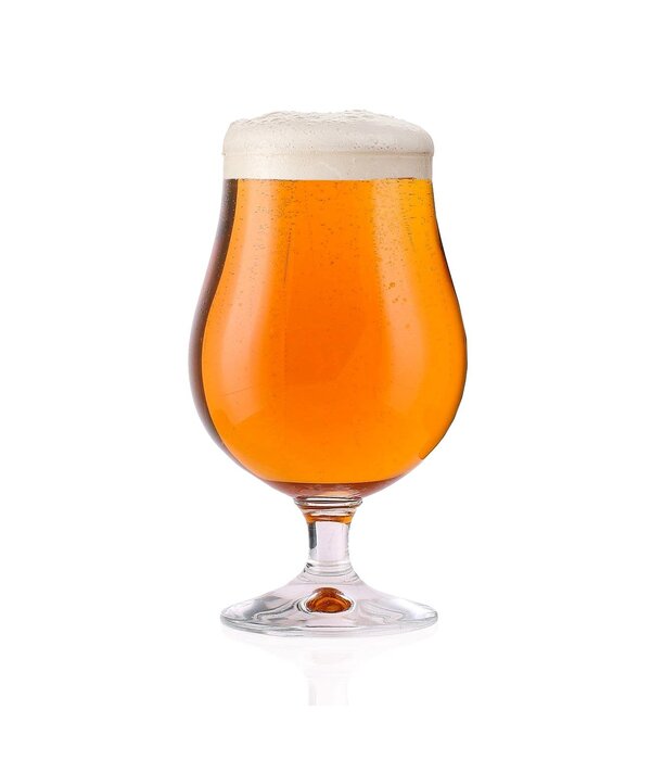 Berlin Mix Beer Glasses 510ml, Set of 6