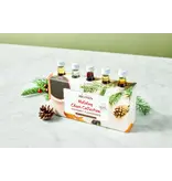 Monin Monin Holiday Collection Gift Set