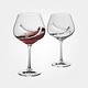 Ensemble de 2 verres à vin rouge Oxygen de Trudeau