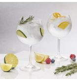 Set of 2 Gin Glasses 675 ml