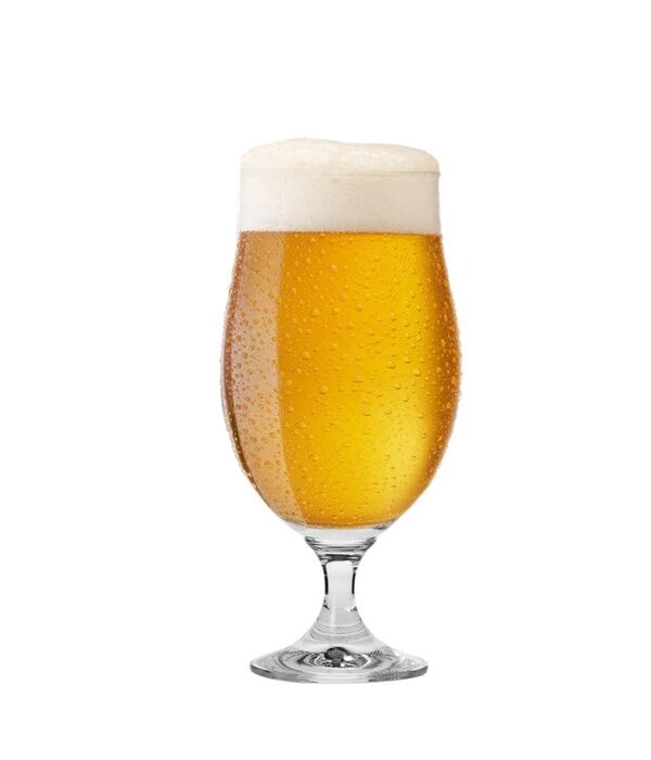 Krosno Krosno Harmony Stemmed Beer Glass 500ml, Set of 6