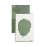 Solem Ensemble de 2 linges à vaisselle Gardenia - Solem