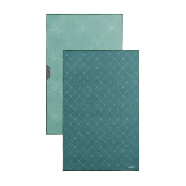 Solem Set of 2 Green Essentials Dish Towels
