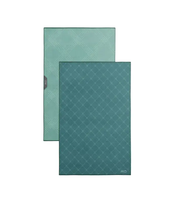 Solem Solem Set of 2 Green Essentials Dish Towels