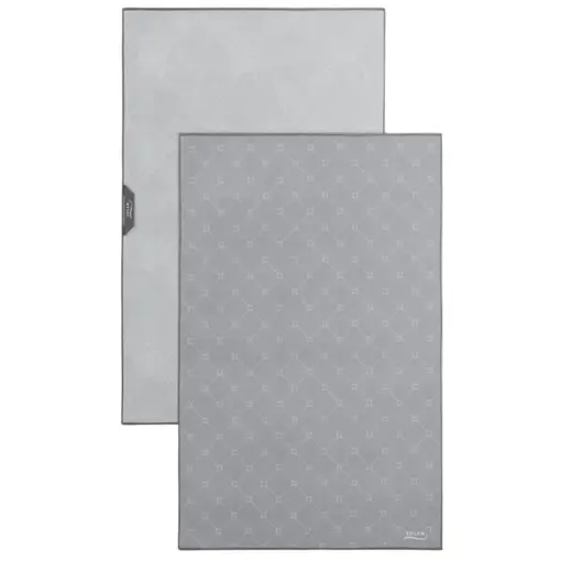Solem Solem Set of 2 Grey Essentials Microfiber Dish Towels