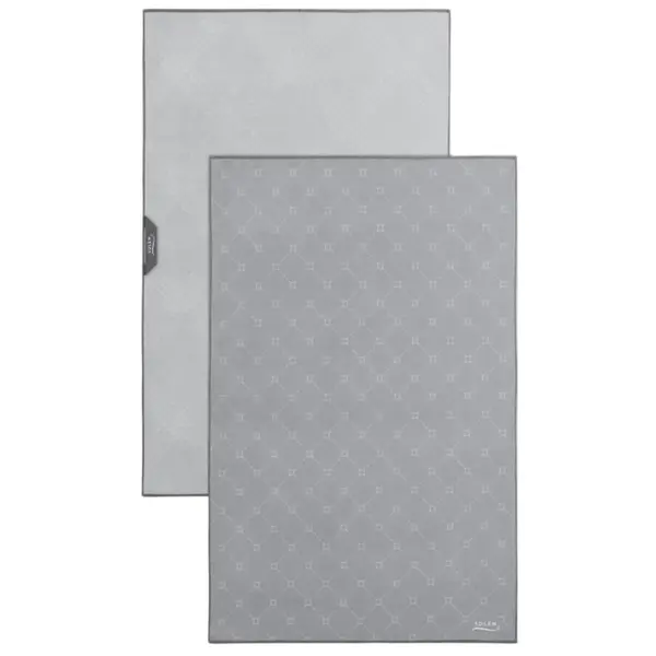 Solem Set of 2 Grey Essentials Microfiber Dish Towels