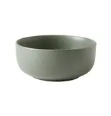 Brilliant Mirage Olive Green 12-Piece Dinnerware Set