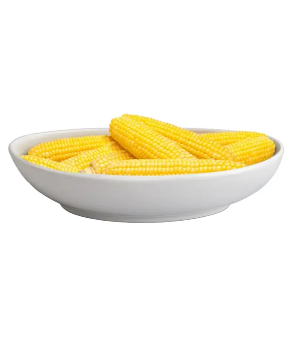 BIA Cordon Bleu Bol de service oval en porcelaine Blanc 38x27cm - BIA