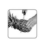 Tomorrow's Kitchen Tomorrow's Kitchen Pineapple Slicer White with Black Handle