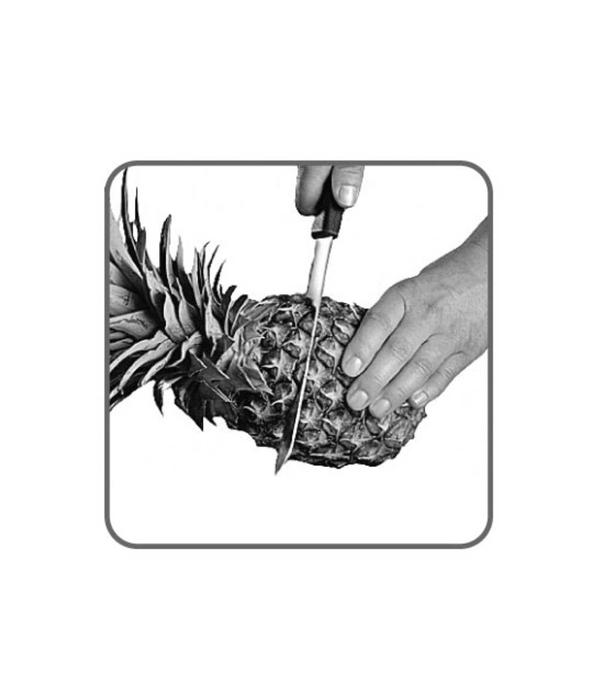 Tomorrow's Kitchen Pineapple Slicer White with Black Handle