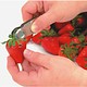 Équeuteur à fraise par FoxRun