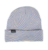 Theories Theories Impossible Beanie